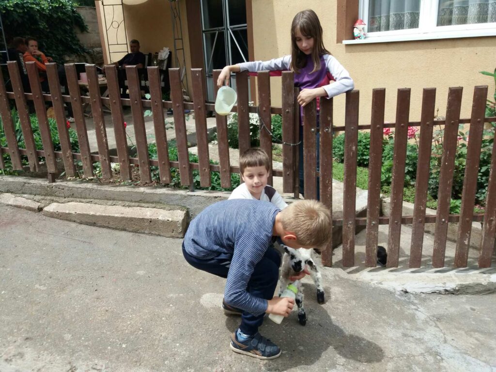 IMG-e798d7a8017ca29daeeed2ced4eb8e9c-V